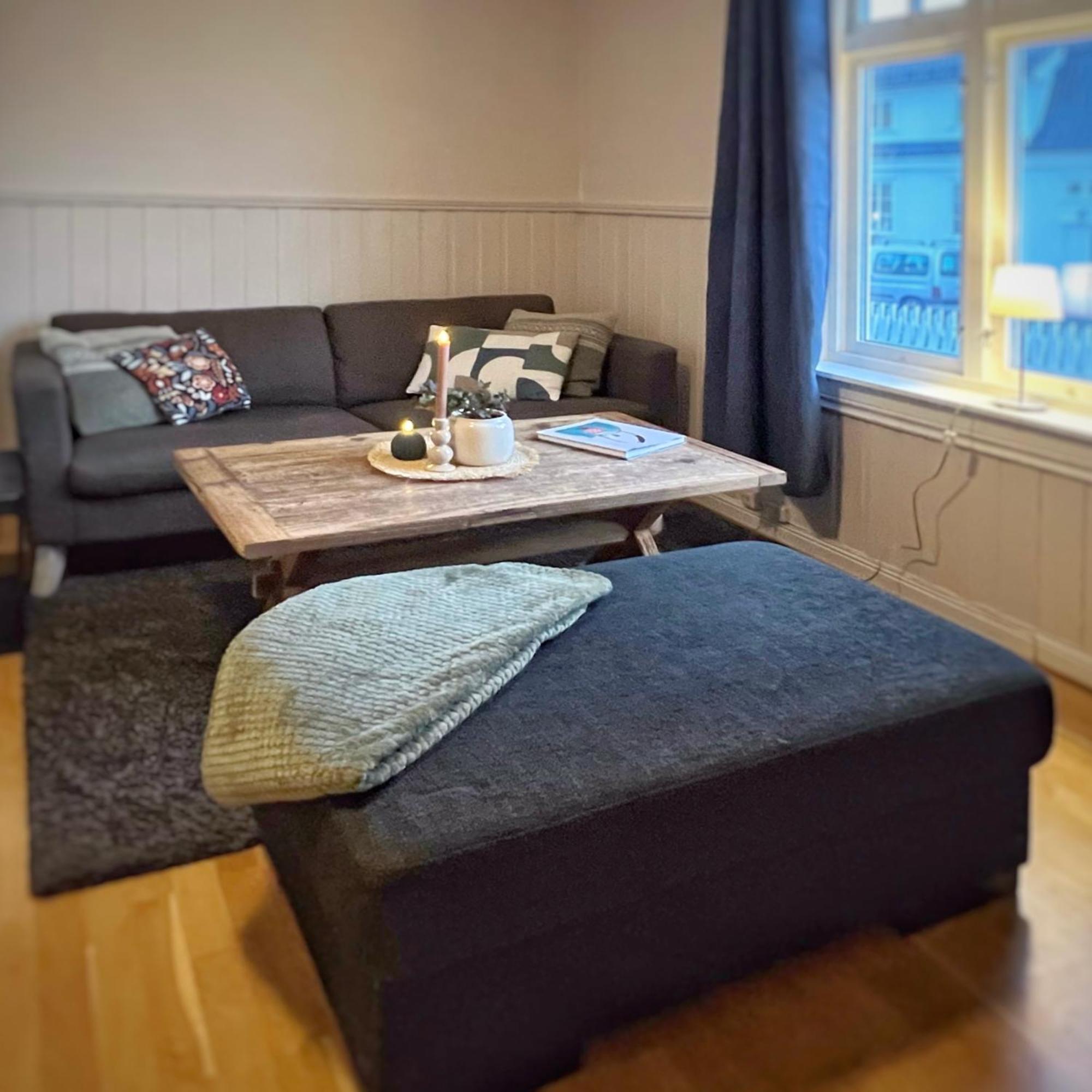 Os Apartments Halden - Sentrumsnaert Og Fredelig Bagian luar foto